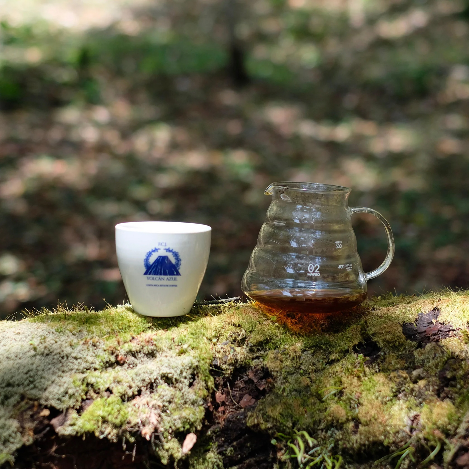 The Barn - kawa ziarnista Kostaryka Volcan Azul Natural Omniroast 250 g