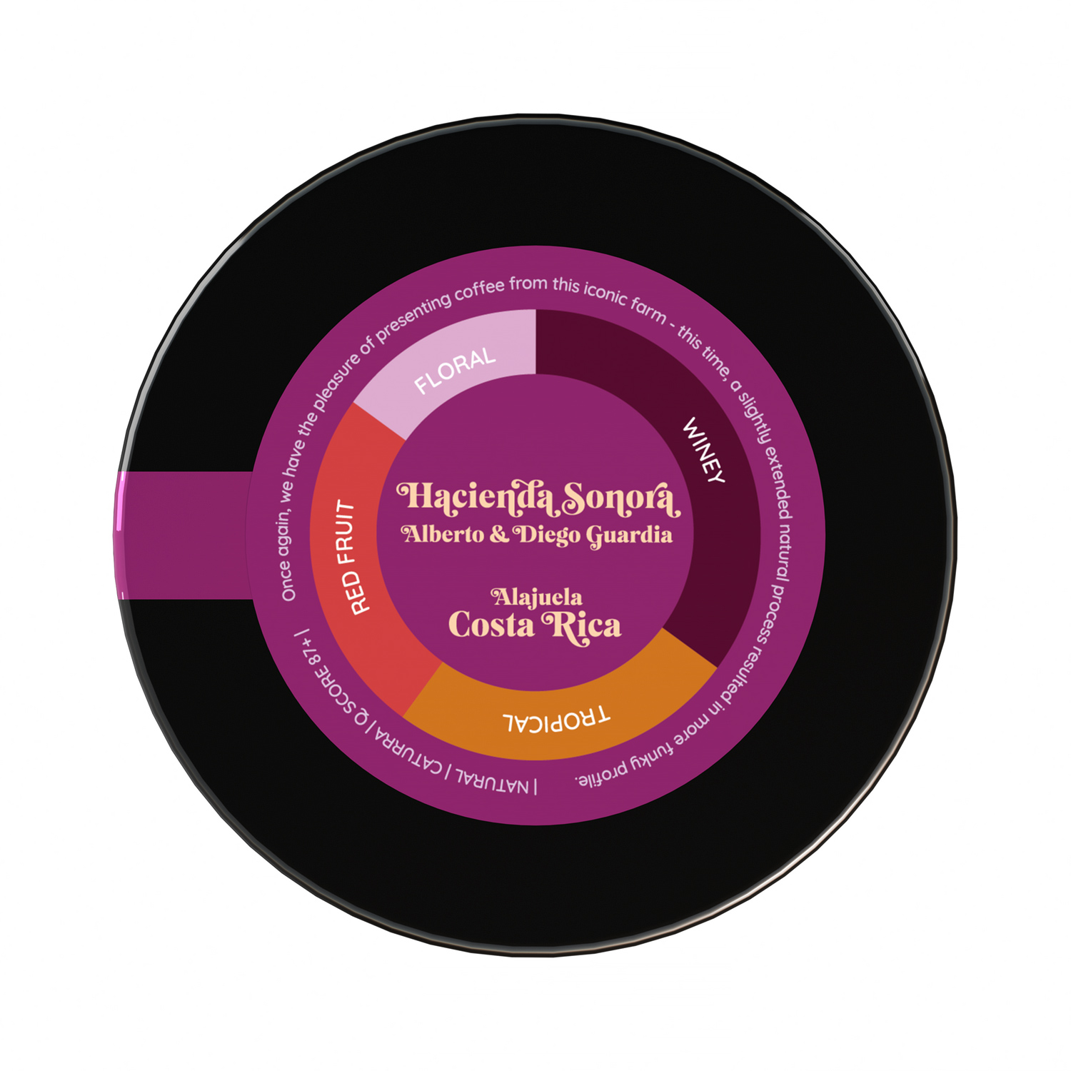 Heresy - Costa Rica Hacienda Sonora Natural  Filter 252g