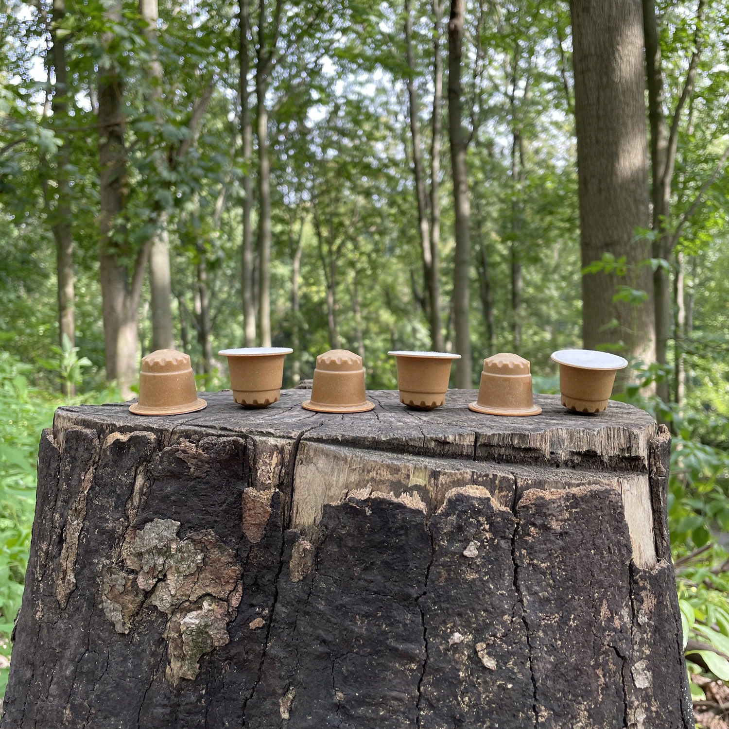 The Barn - kawa w kapsułkach Brazylia - 10 kapsułek