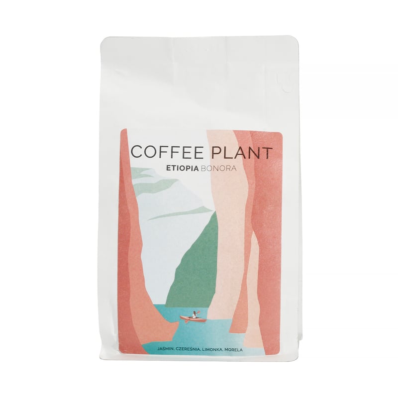 COFFEE PLANT - Ethiopia Bonora Natural Filter 250g