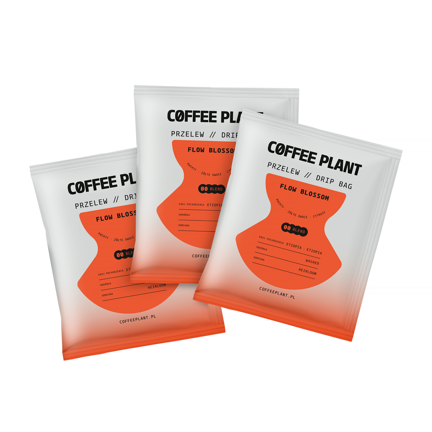 COFFEE PLANT - kawa w saszetkach Flow Blossom Drip Bag - 10 saszetek