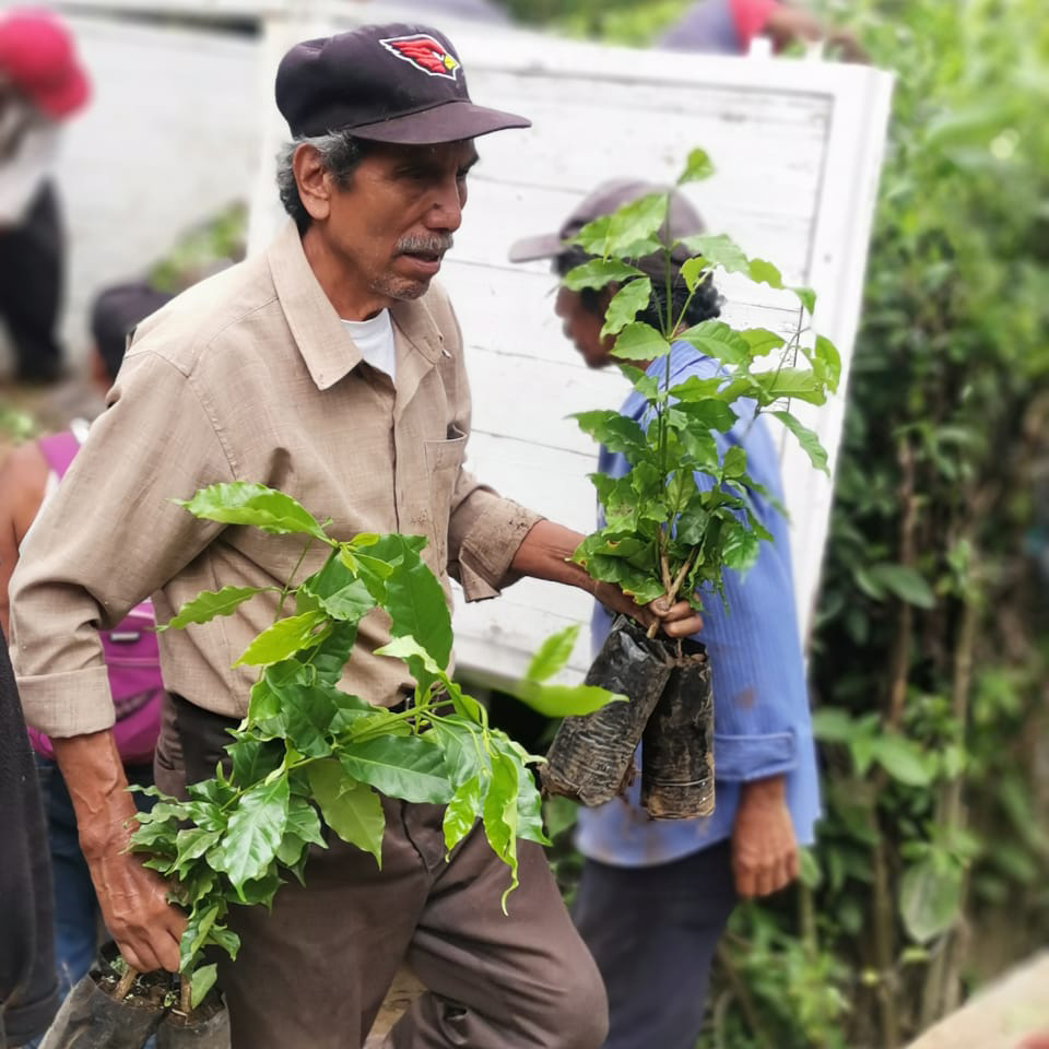 Heresy - kawa ziarnista Meksyk Galguera Gómez Natural Filter 252 g