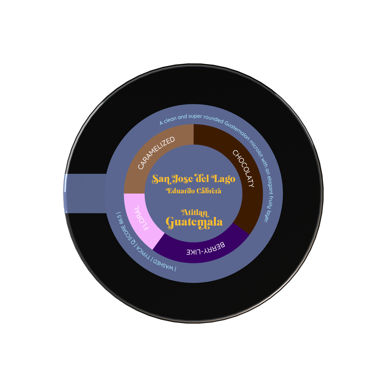 Heresy - Guatemala San Jose Del Lago Washed Filter 252 g