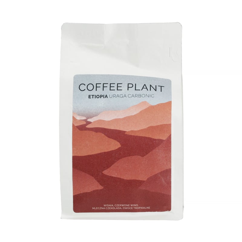 COFFEE PLANT - Etiopia Uraga Carbonic Filter 250g