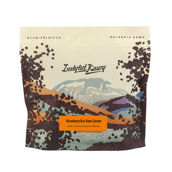 Instytut Kawy - Costa Rica San Juan Natural Filter 250 g