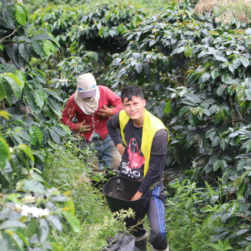 The Barn - kawa ziarnista Kolumbia Black Condor Washed Espresso 250 g