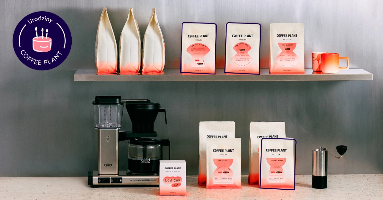 URODZINY COFFEE PLANT