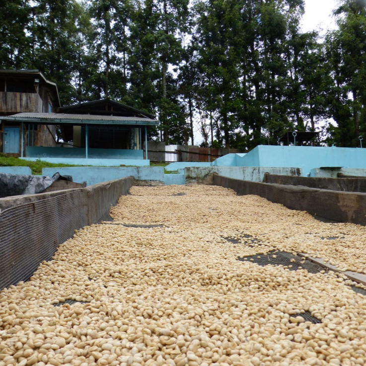 The Barn - Kenya Kii PB Washed Filter 250 g