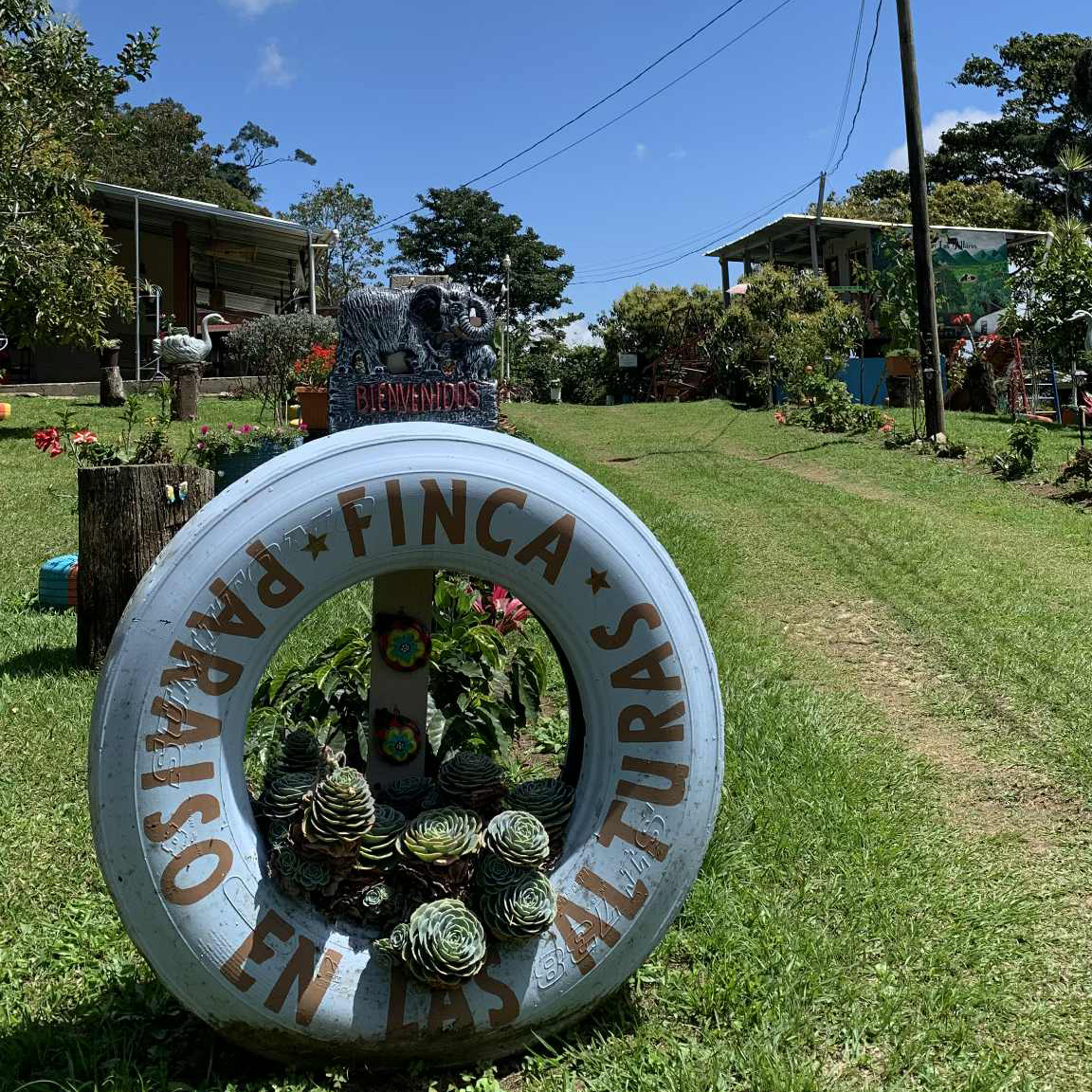 Heresy - kawa ziarnista Honduras El Paraiso Washed Filter 252 g