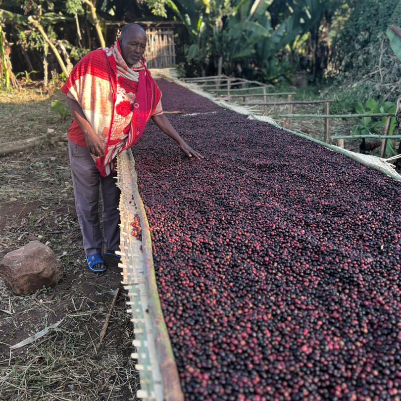 Heresy - kawa ziarnista Etiopia Gelo Saloye Natural Filter 252g