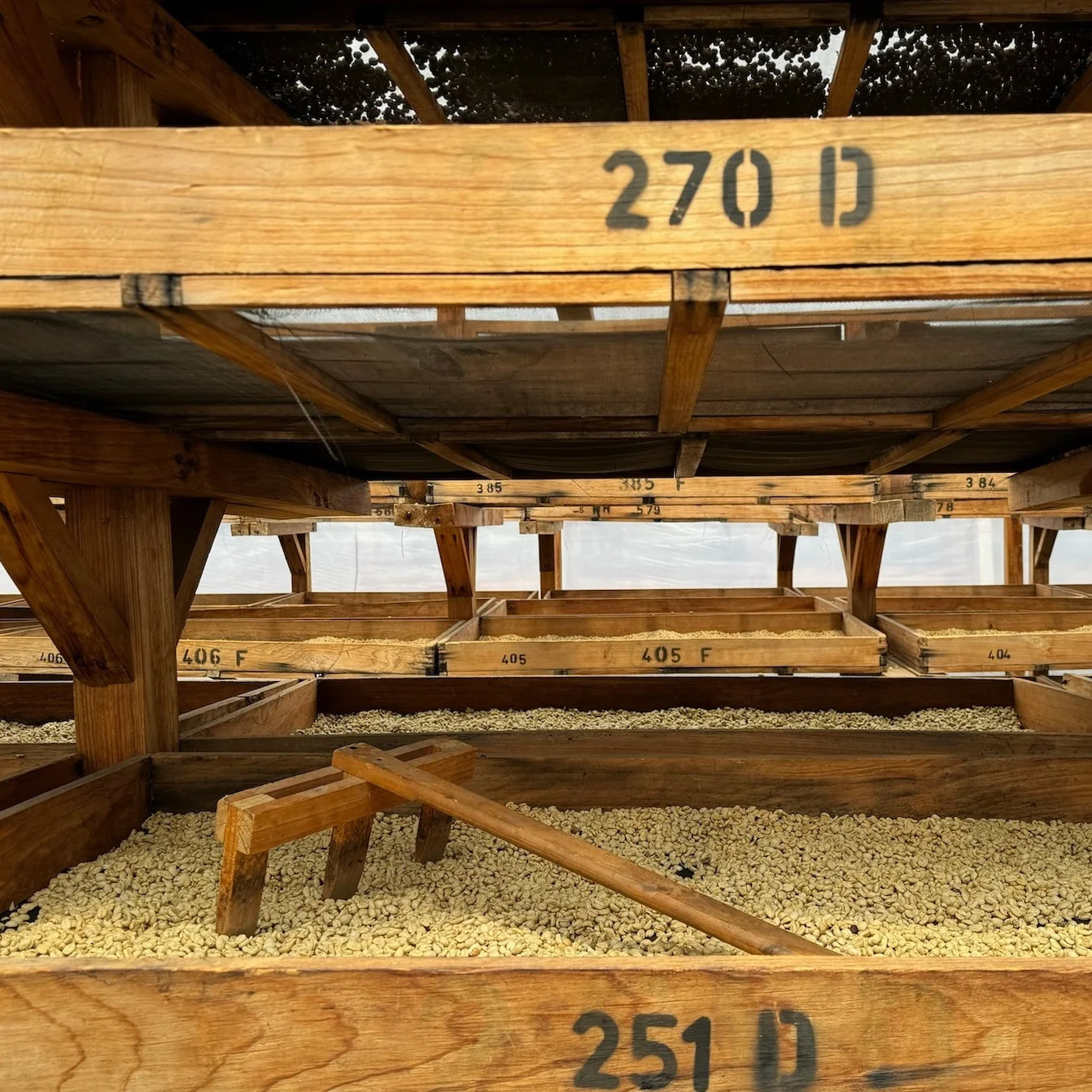 The Barn - kawa ziarnista Gwatemala Atlas Washed Omniroast 250 g