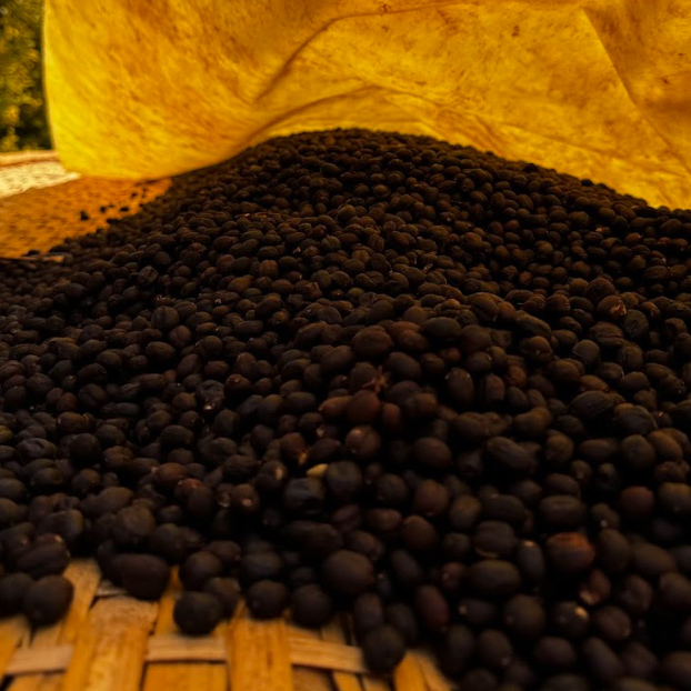 Heresy - kawa ziarnista Etiopia Gelo Saloye Natural Filter 252g