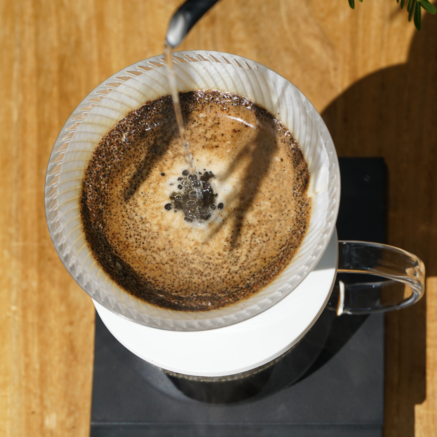Hario - trytanowy drip NEO V60-02 - transparentny