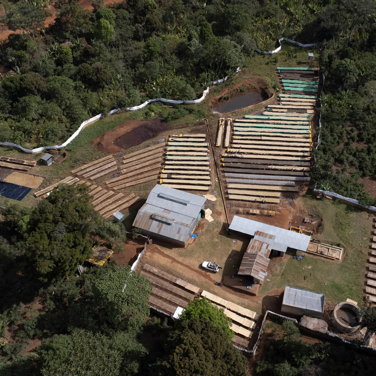 The Barn - kawa ziarnista Etiopia Yirgacheffe Chelbesa Natural Filter 250 g