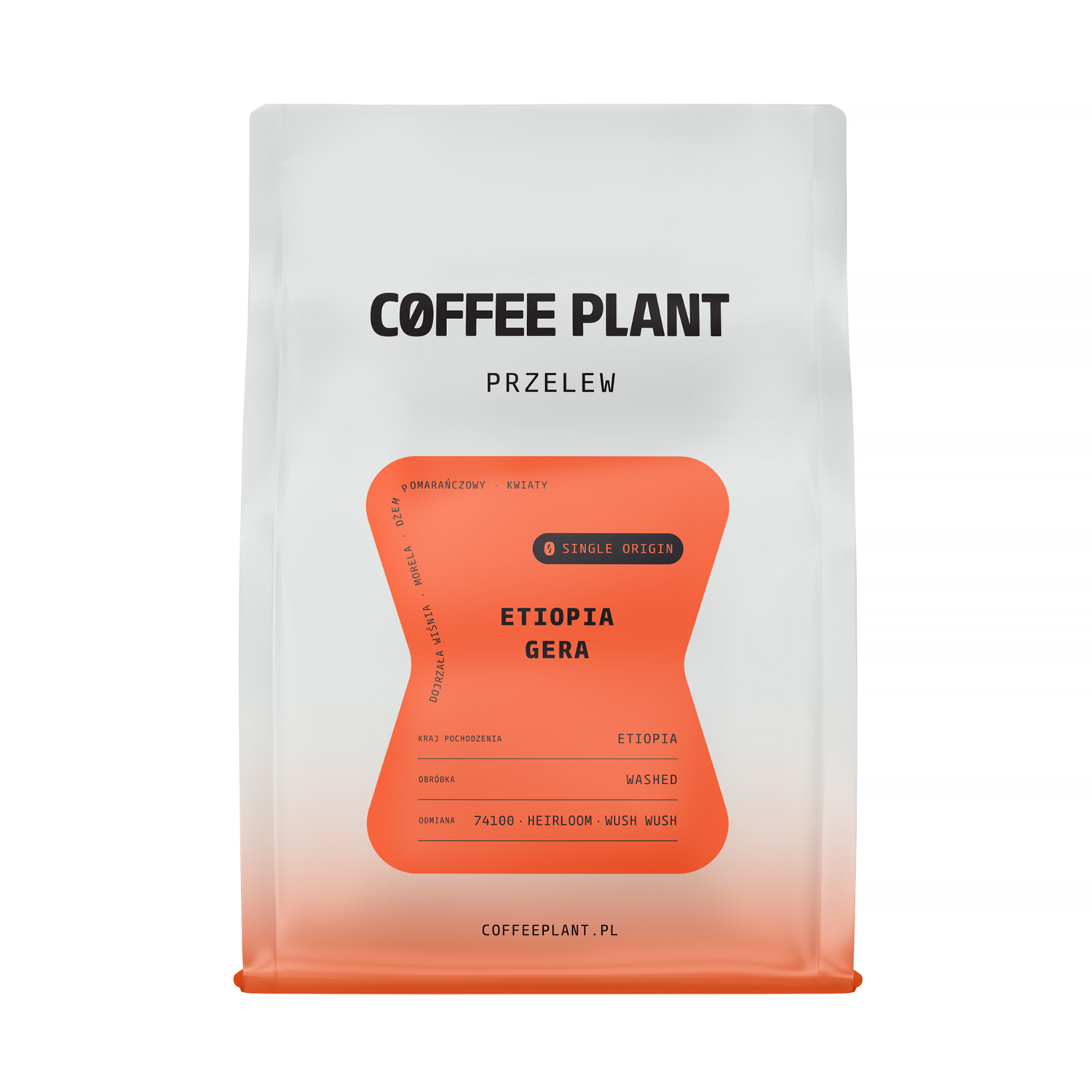 COFFEE PLANT - Etiopia Gera Washed Filter 250g