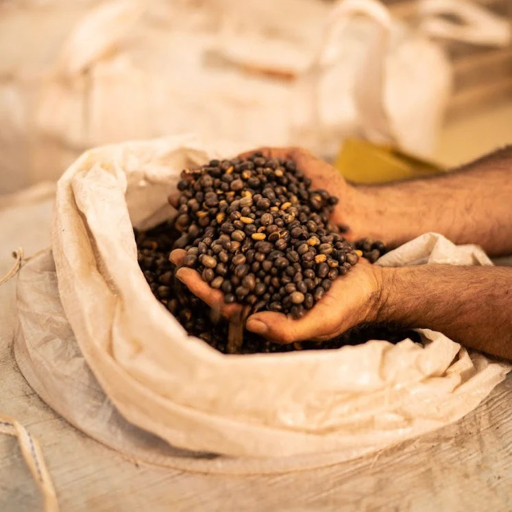 The Barn - kawa ziarnista Brazylia Ivan Dos Santos Typica Natural Filter 250 g